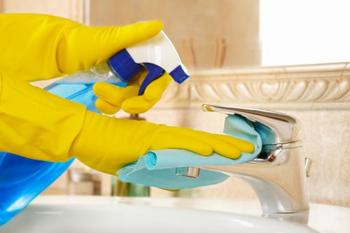 Pricing options for carpet cleaning in Pratts Bottom homes