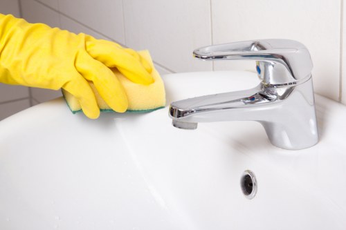 Removing pet urine stains and odours from home flooring