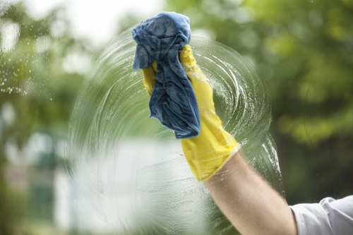 Deep cleaning a carpet to remove stains and dust in a local home